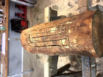 Birkenstamm ohne Rinde und grob vorgesägt